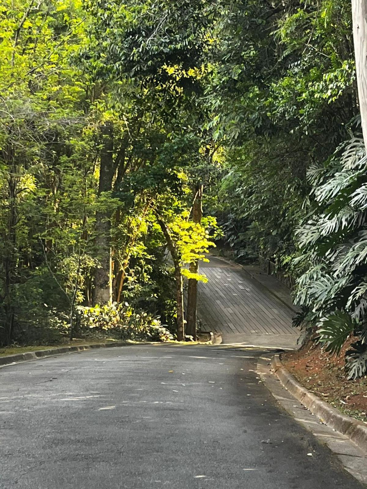 Maravilhoso Studio - Granja Brasil Itaipava เปโตรโปลิส ภายนอก รูปภาพ